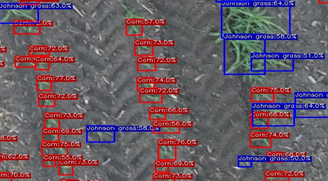 crop detection labels